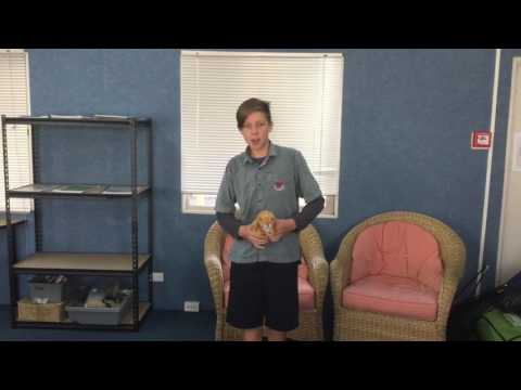 YouTube video