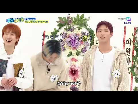 Eng Sub P1harmony Weekly Idol Ep650