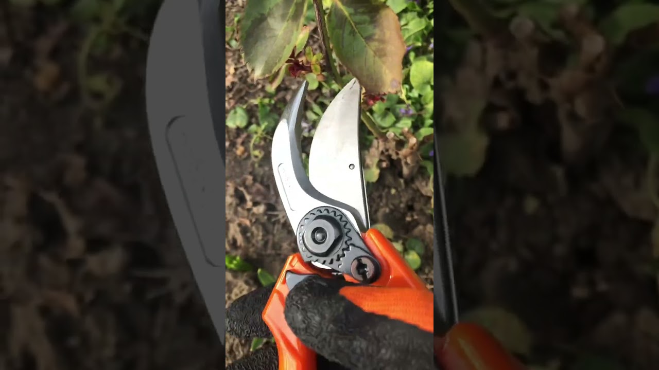 Stihl Pg 30 Garden Pruning Secateurs