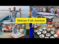 Malvan fish auction      malvan fish market  sindhudurg malvan  tarkarli