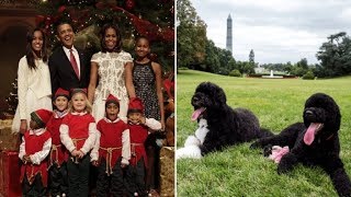 Obama Family Shared Adorable Holiday Card Co Signed By Their Dogs Sunny And Bo