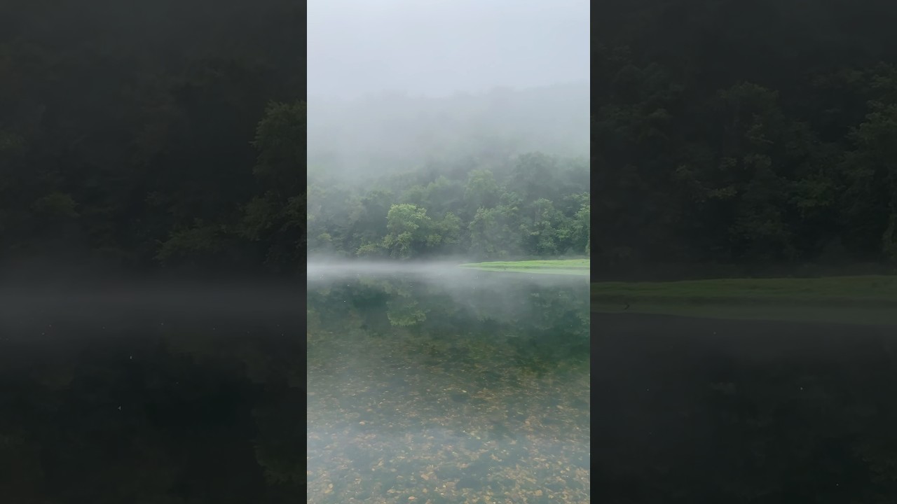 memories I return to often