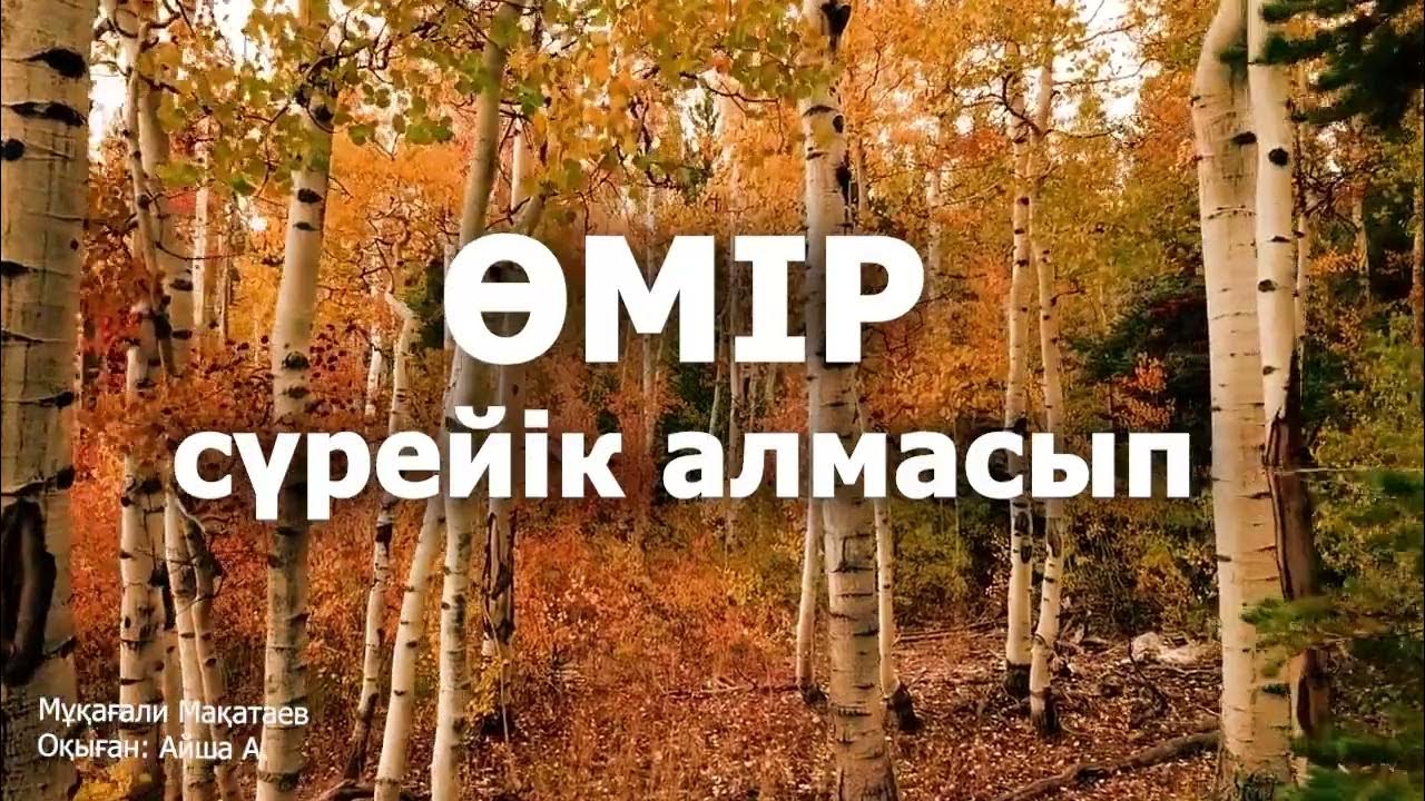 Максим порно видео Трусики мен киімдегі әйелдердің порносы