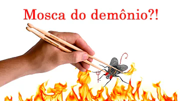 Como matar larvas de mosca em animais?