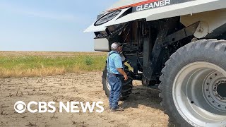 Farmers champion "right to repair" laws