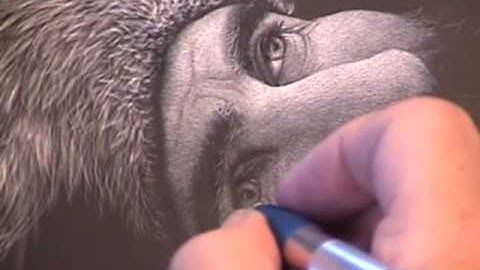 Scratchboard Workshop July 2010 - 03A