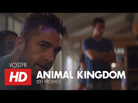 Animal Kingdom - Saison 1