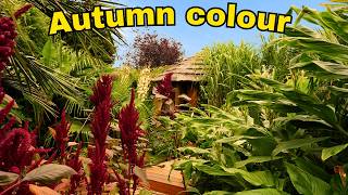 The Garden Isn't Finished Yet! 🌴 Mid-September Exotic Garden Tour