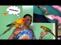 GETTING GIRLFRIEND FOR MY PARROT | GOT BIT BY A SNAKE!!!