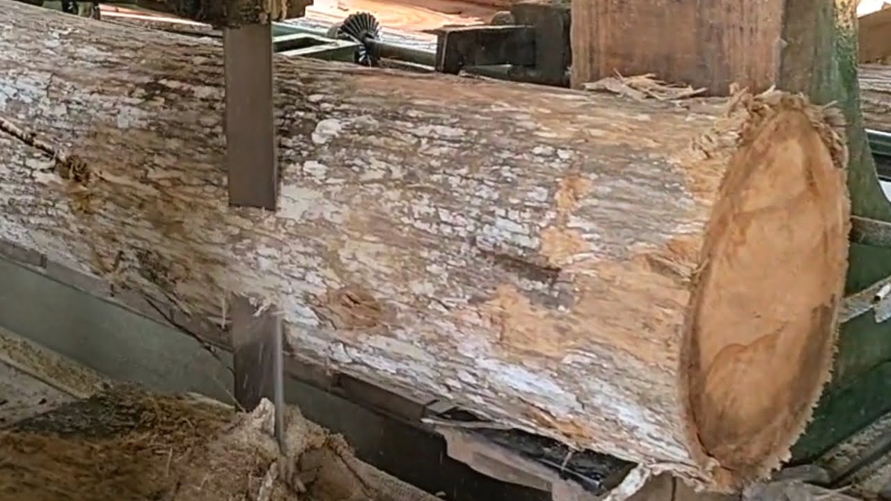 The beautiful teak wood cutting process at the sawmill - YouTube