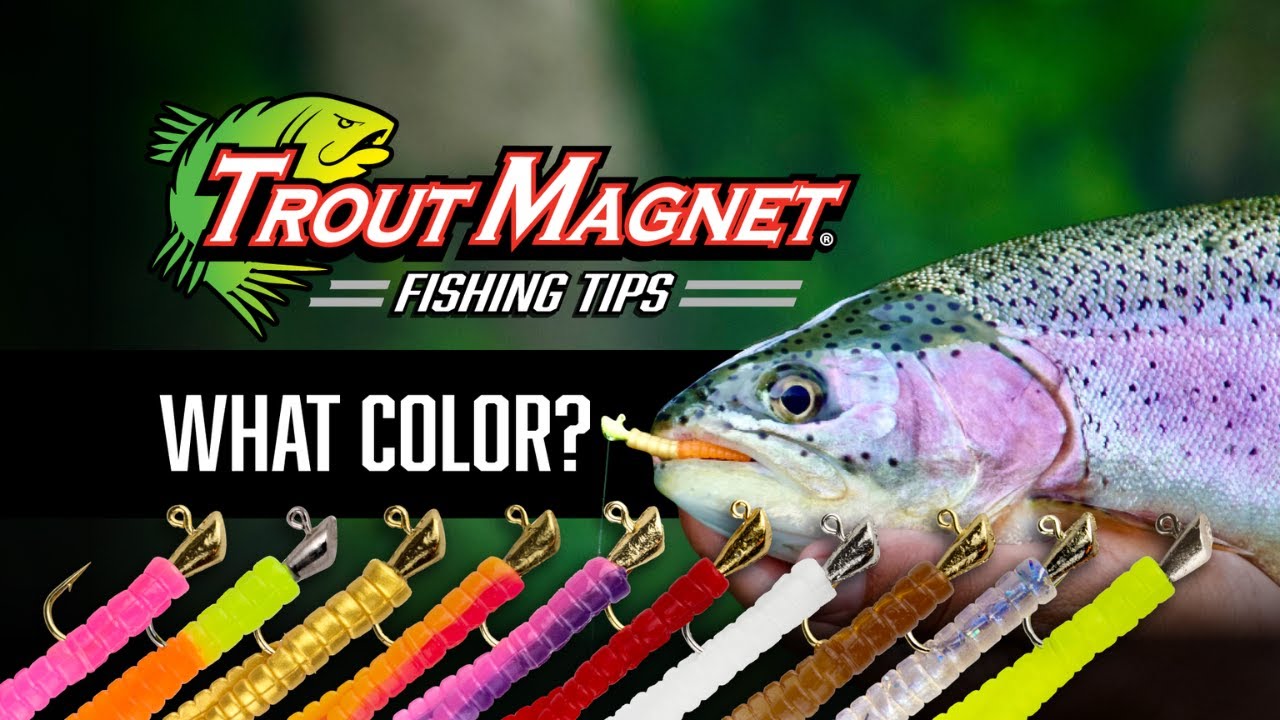 Search results for: 'creat and jay trout magnet kit