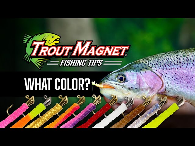 Find out what color Trout Magnet to use! 