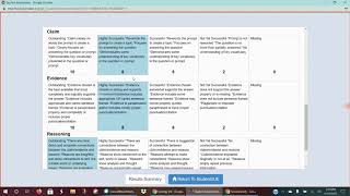 Synergy Assessment Feedback