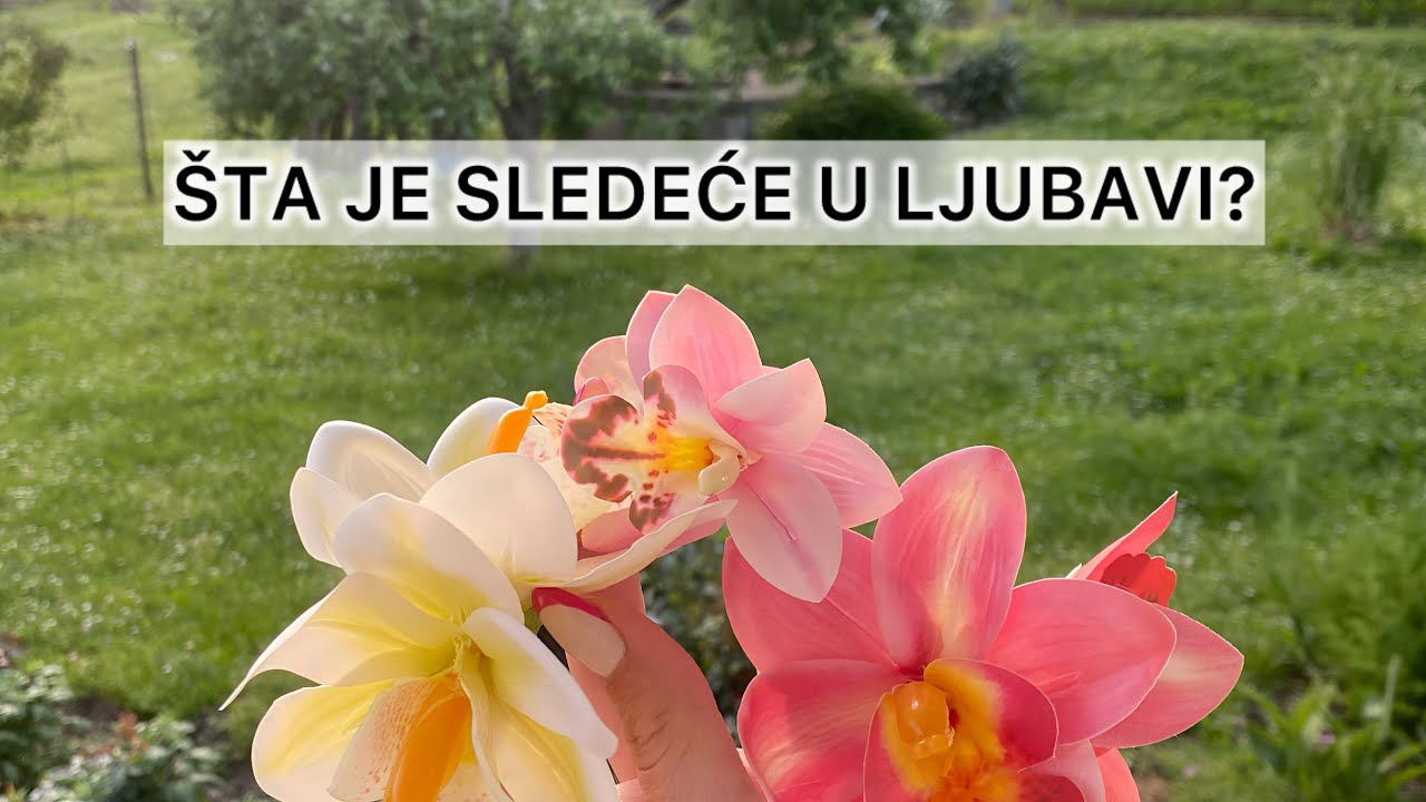 Šta je sledeće u ljubavi? 🌸🧚🏼‍♀️💕 #hex #intuitivnocitanje #ljubavnitarot