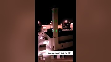 تلاوة عشائية أيوبية