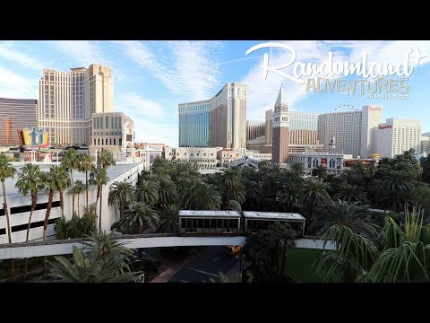 I found LIONS & TIGERS & Dolphins in Las Vegas! OH MY!