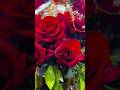 💐💐💐🌹🌹
