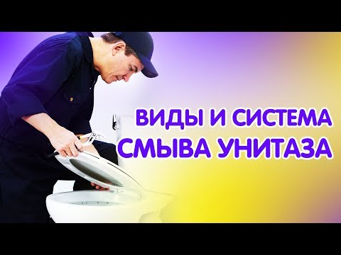 Видео: Какая часть унитаза называется смывом?