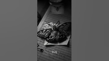 Did a Real Bug Crash the First Computer?