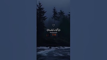 في جَنَّةٍ عَالية | القارئ عبدالرحمن مسعد #تلاوة_هادئة #ارح_قلبك