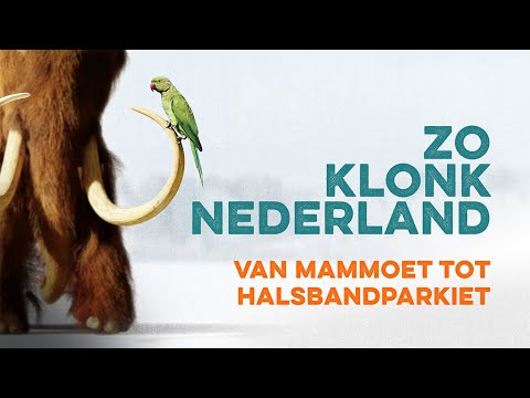 De nieuwe podcast Zo Klonk Nederland 