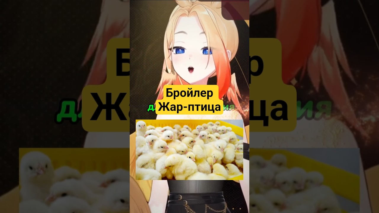 Бройлер киви