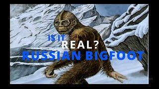 Is It Real? RUSSIAN BIGFOOT (2006)