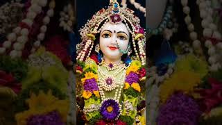 Download Lagu Radhe Radhe ki jap le tu mala 🌹🙏🌼💫#radhakrishna #youtubeshorts MP3