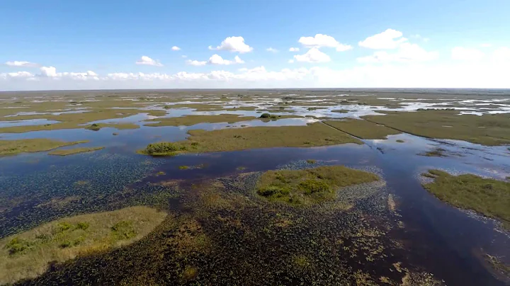 Trailer: The Unseen Everglades: Inside A Legendary Wilderness