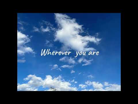 Wherever you are /ONE OK ROCK 　歌ってみた