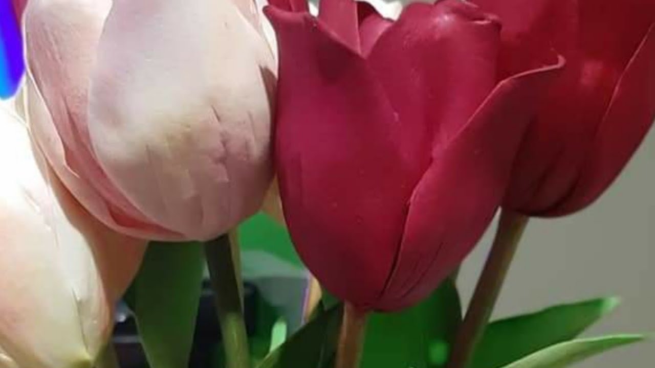 Como fazer tulipa de e v a - YouTube