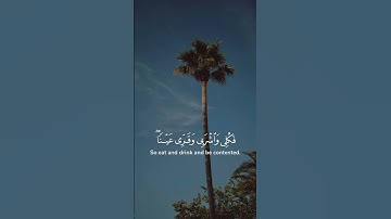 تلاوة مؤثره # ما تيسر من سورة مريم # اكتب شيء تؤجر عليه