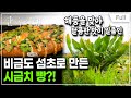 [Full] 한국기행 - 남도 봄맛 기행 4부 빵과 나물