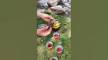How To Use Hot Dogs In Entertainment Tools Education Automobile Hot Use 