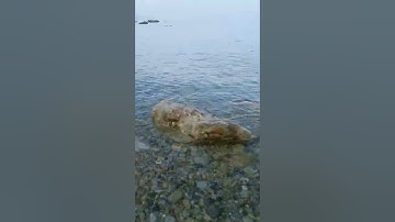 السلكة بقيادة الشيخ الحاج محمد بن موسى الشرويني حفظه الله .من سورة الجاثية