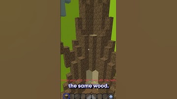 How To Win MORE In Build Battle