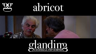 Glanding - Abricot