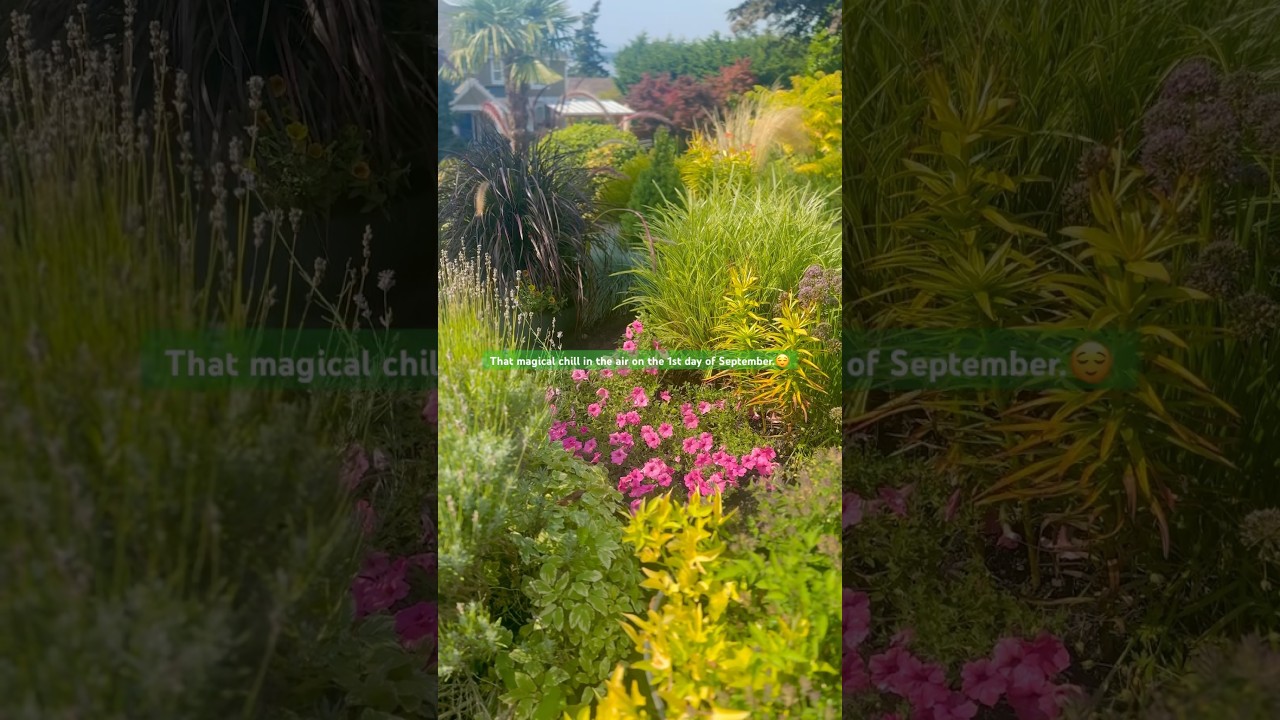 Appreciating the chill in the air on this 1st day of September.😌💜