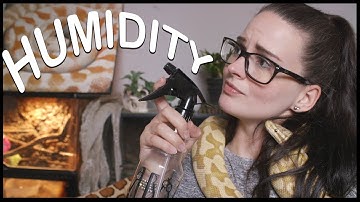 HUMIDITY AND SNAKES (How to get it perfect!)