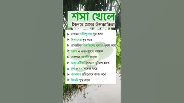 general knowledge || quiz | spinal cord I part-66