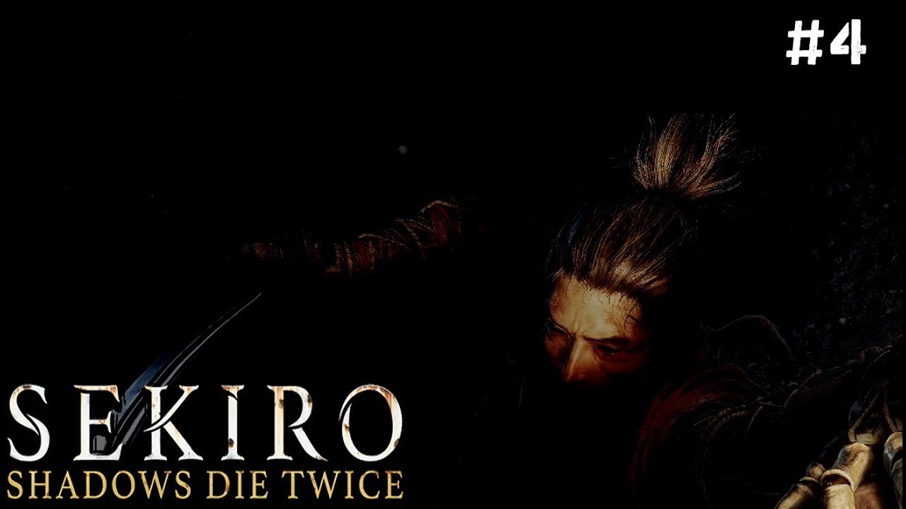 Карта секиро shadow на русском