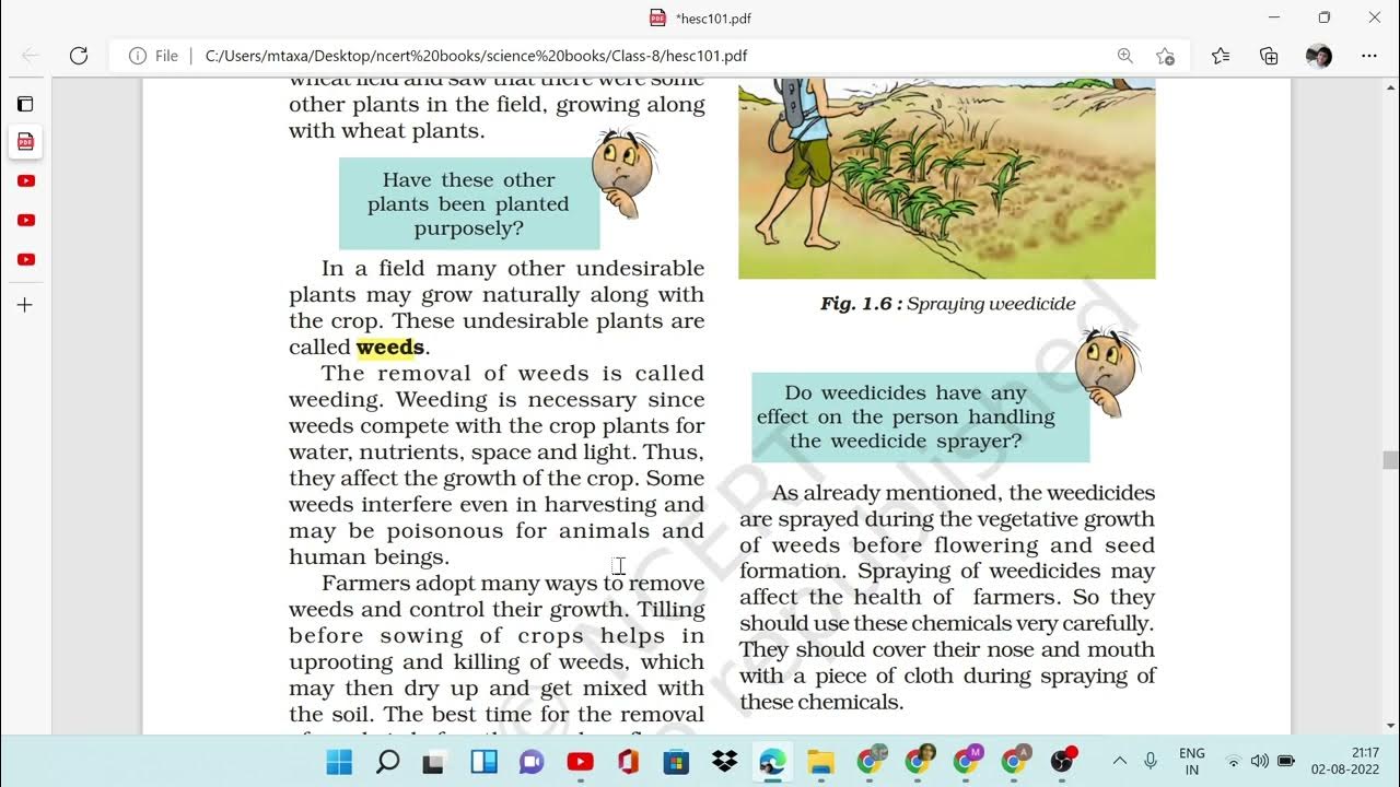 Protection from Weeds, Weedicides, Class 8, Science, Chapter 1