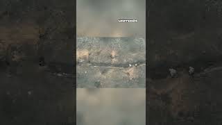 Ukrainian Soldiers Storm Russian Trench And Survive Grenade In Terrifying By