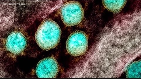 Jacksonville expert says gamma variant now classified as 