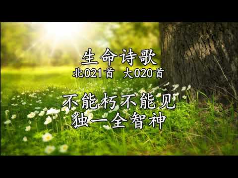 生命诗歌 北021 大020 不能朽不能见独一全智神
