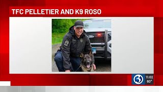 State trooper killed in hit-and-run on I-84 in Southington; suspect in custody