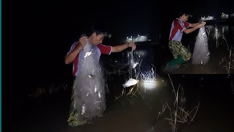 #thả lưới bắt cá đêm,#lũ rút đến đâu thả lưới đến đó ,trúng được cả thau cá đầy @hiểu sơntv