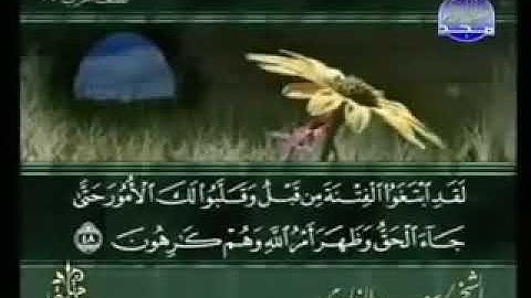 سورة التوبة من الآية  41  الى الآية  55