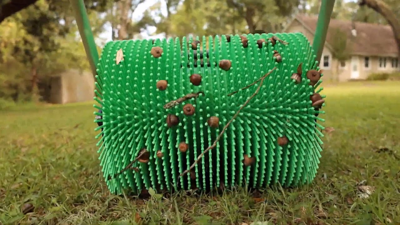 Bag a Nut & Bruntink okt 2019