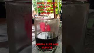 Download Lagu PAGI INI KITE NGUPI KAPAL API DULU MP3 Download Lagu PAGI INI KITE NGUPI KAPAL API DULU MP3